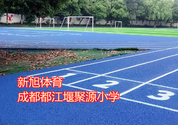 学校标准新国标蓝色塑胶跑道